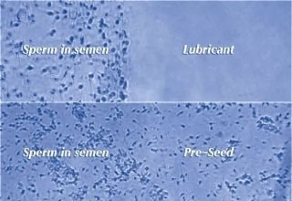 PRESEED siittiöystävällinen liukuvoide