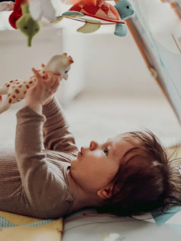 Sophie The Giraffe luomupurulelu